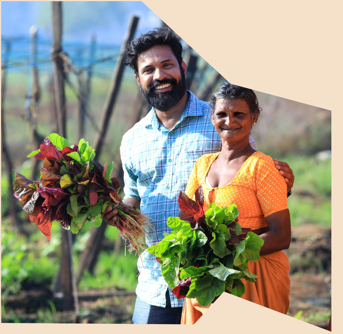 Transparency in processes